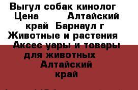 Выгул собак кинолог › Цена ­ 50 - Алтайский край, Барнаул г. Животные и растения » Аксесcуары и товары для животных   . Алтайский край